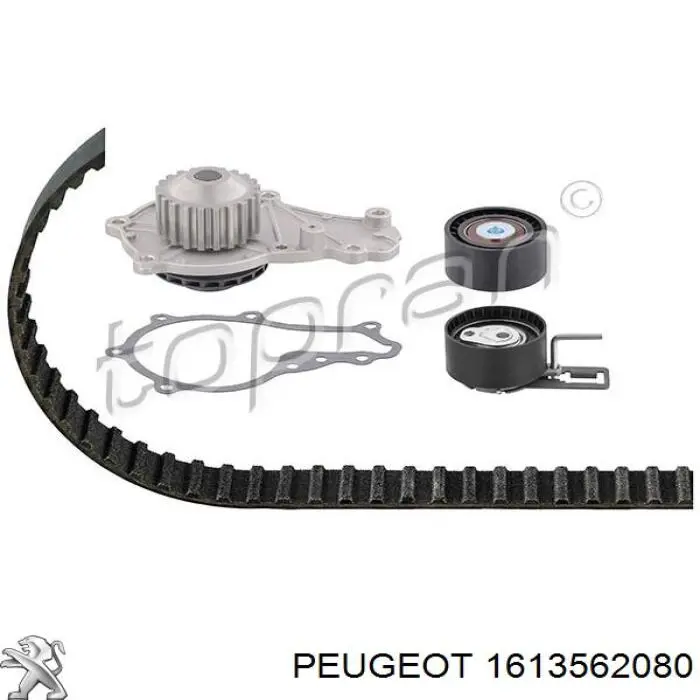 Комплект ГРМ Peugeot/Citroen 1613562080 ціна, від 111.86 USD