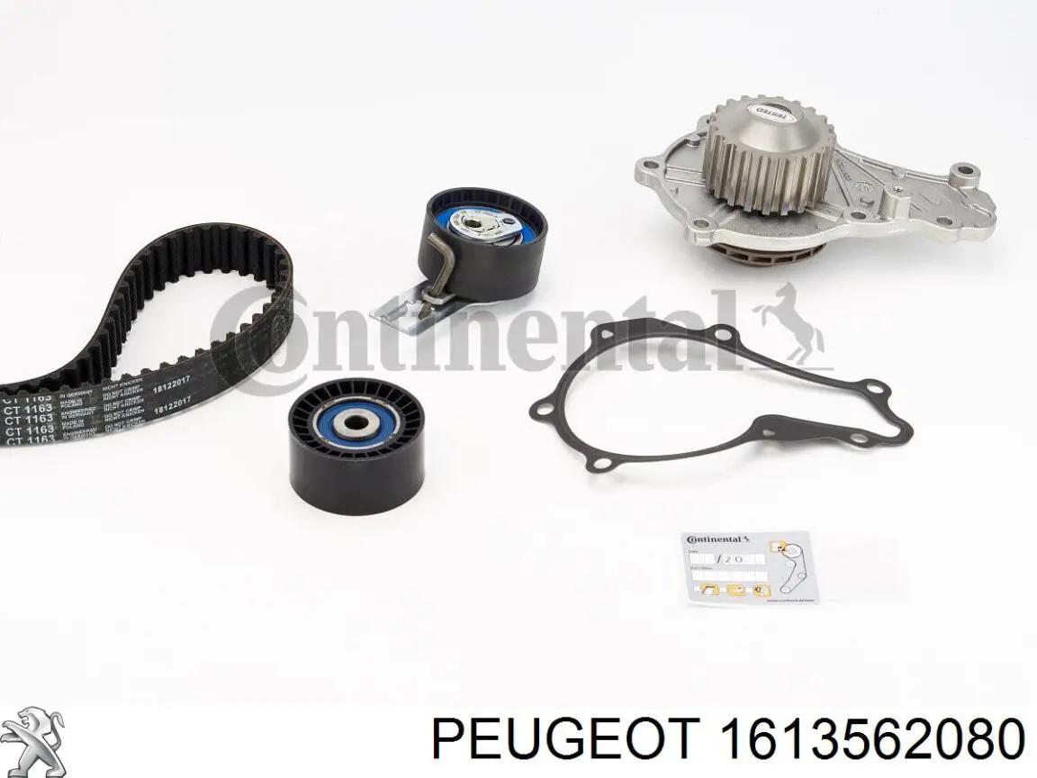 1613562080 Peugeot/Citroen Ремінь ГРМ, комплект
