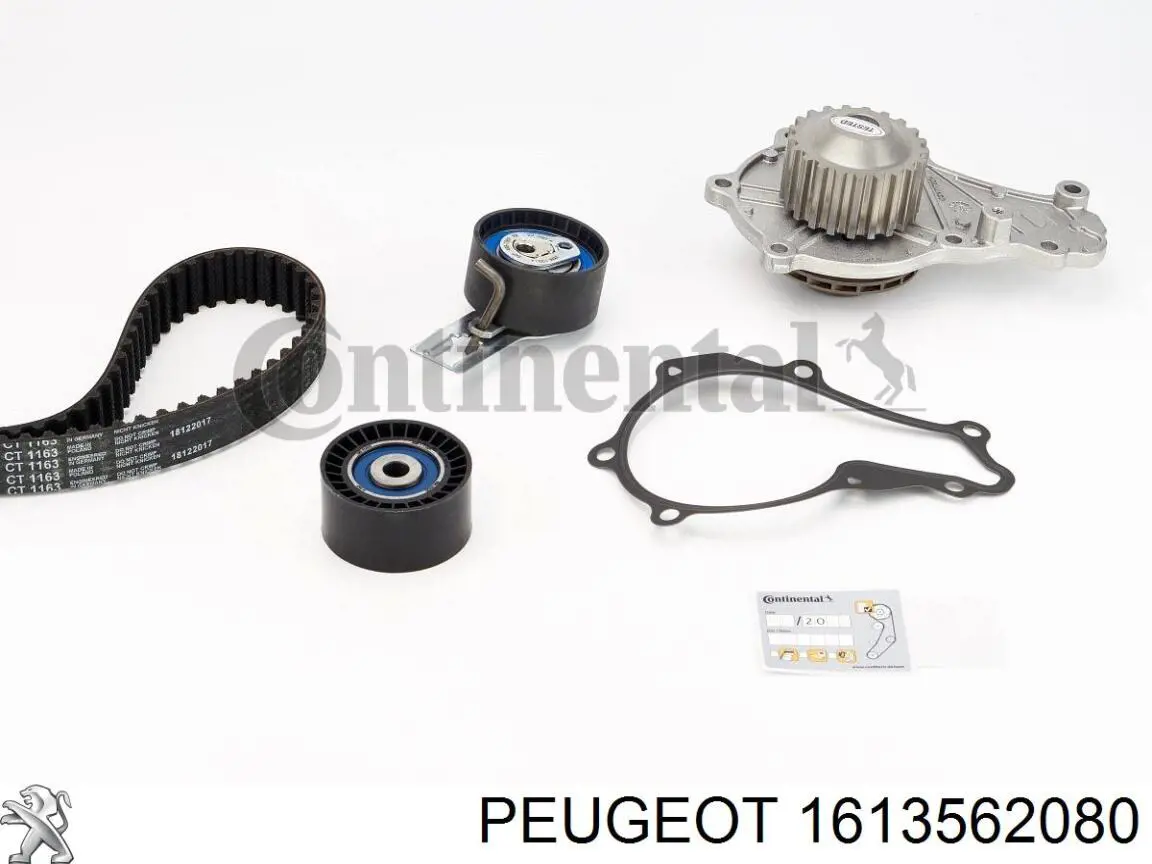 Купити 1613562080 Peugeot/Citroen ГРМ ремень
