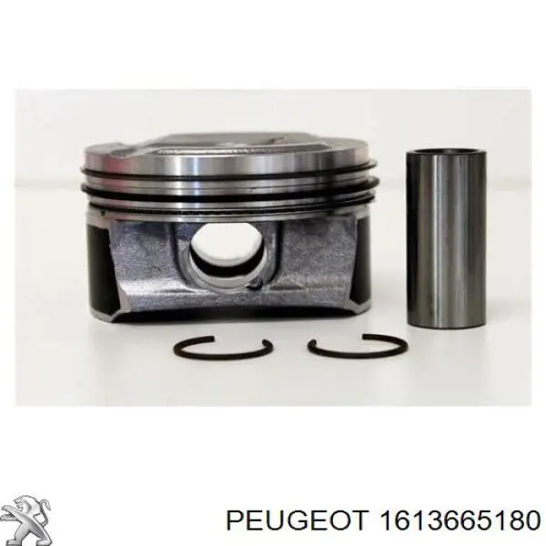 1613665180 Peugeot/Citroen поршень в комплекті на 1 циліндр, std