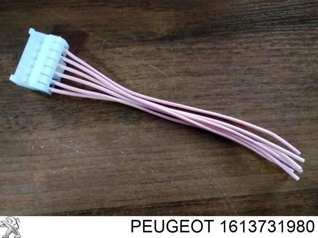 1613731980 Peugeot/Citroen Роз'єм (фішка) заднього ліхтаря