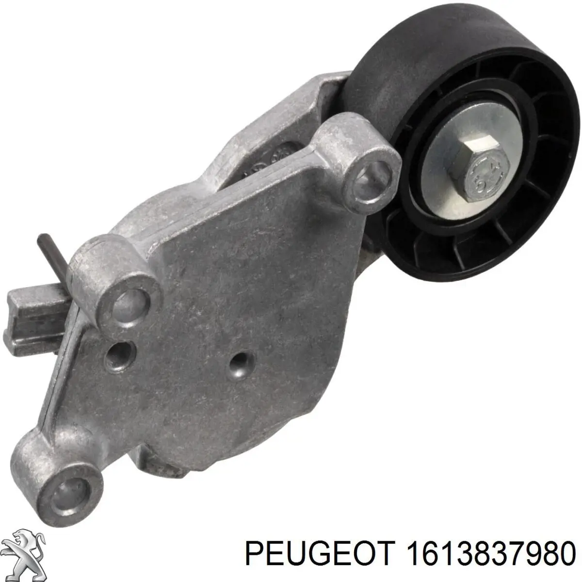 1613837980 Peugeot/Citroen натягувач приводного ременя
