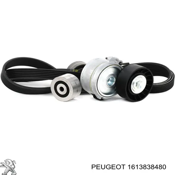 Ролик приводного ременя, паразитний 1613838480 Peugeot/Citroen