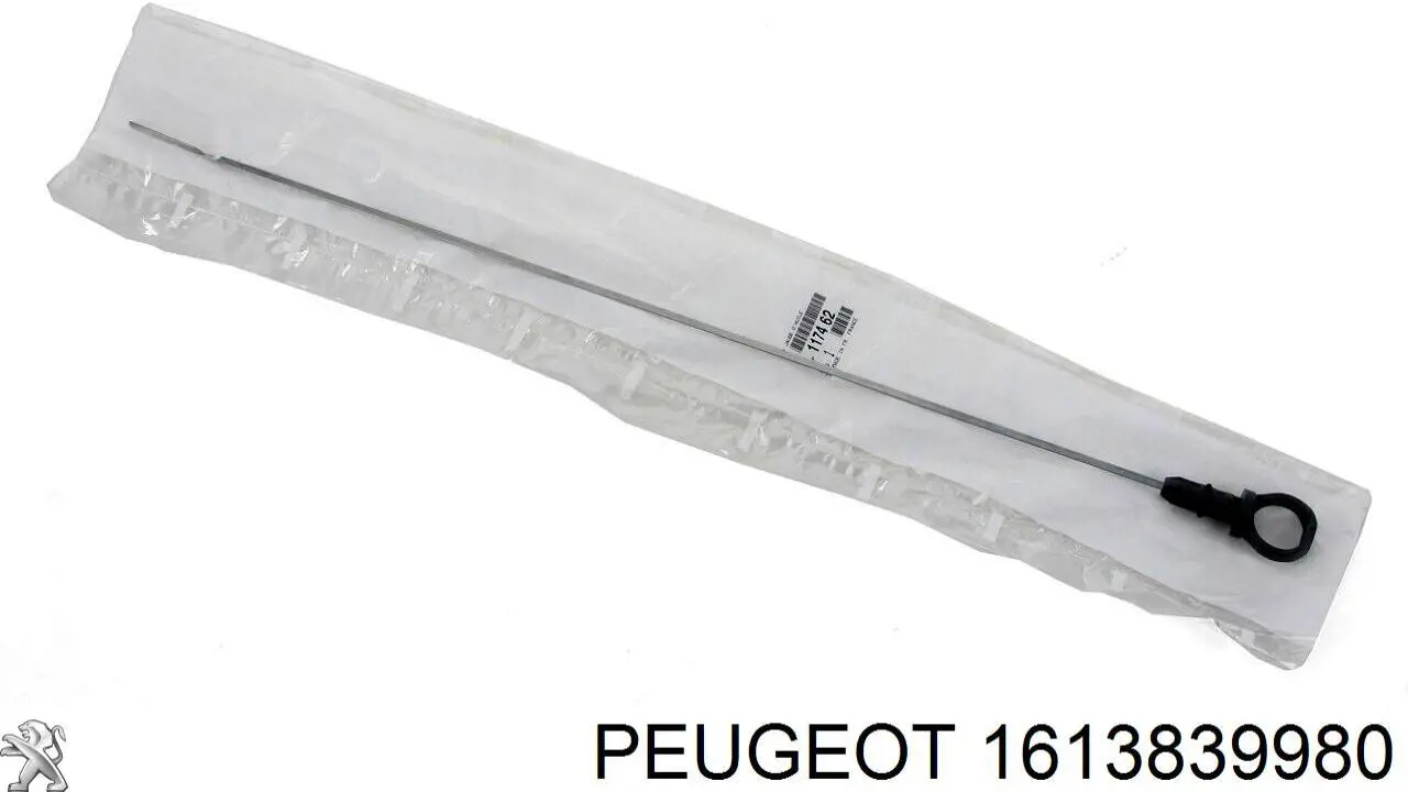 Натягувач приводного ременя Peugeot/Citroen 1613839980