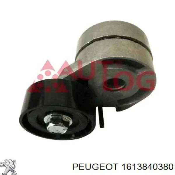 Купити 1613840380 Peugeot/Citroen Натягувач приводного ременя