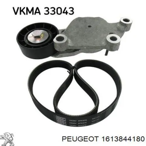 Ремінь приводний, агрегатів, комплект Peugeot/Citroen 1613844180 ціна, від 42.98 USD