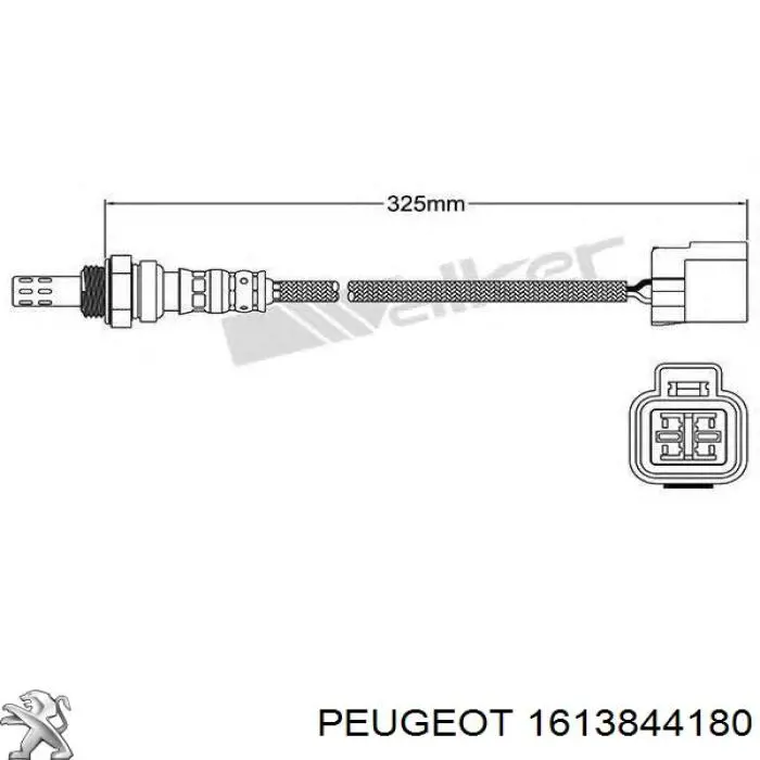 Купити 1613844180 Peugeot/Citroen Ремінь приводний, агрегатів, комплект