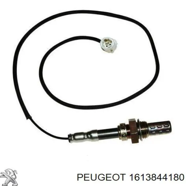 Ремінь приводний, агрегатів, комплект 1613844180 Peugeot/Citroen