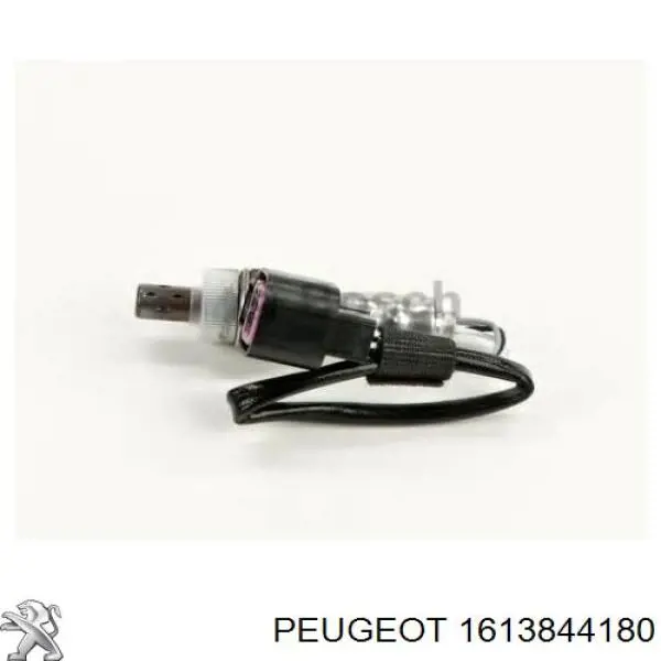 1613844180 Peugeot/Citroen Ремінь приводний, агрегатів, комплект