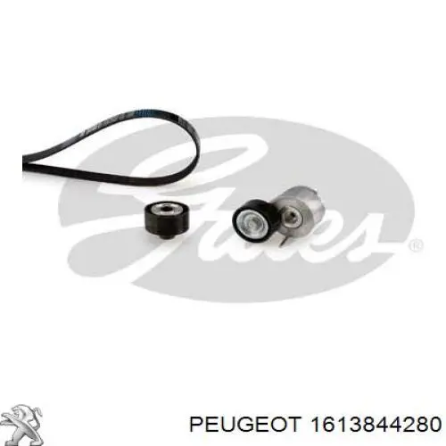 Ремінь приводний, агрегатів, комплект Peugeot/Citroen 1613844280 ціна, від 74.51 USD