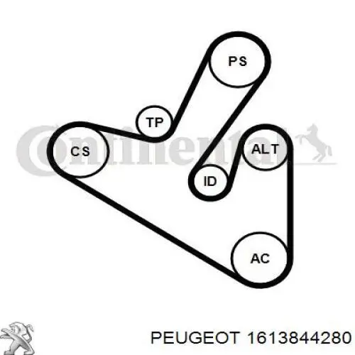 Купити 1613844280 Peugeot/Citroen Ремінь приводний, агрегатів, комплект