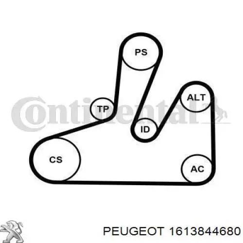 Натягувач приводного ременя Peugeot/Citroen 1613844680 ціна, від 14.69 USD