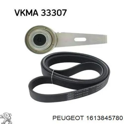 Ремінь приводний, агрегатів, комплект 1613845780 Peugeot/Citroen