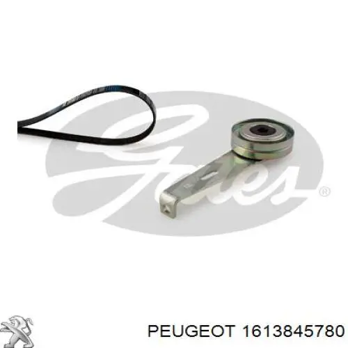 Купити 1613845780 Peugeot/Citroen Ремінь приводний, агрегатів, комплект