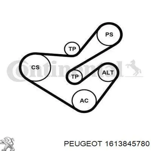 1613845780 Peugeot/Citroen Ремінь приводний, агрегатів, комплект