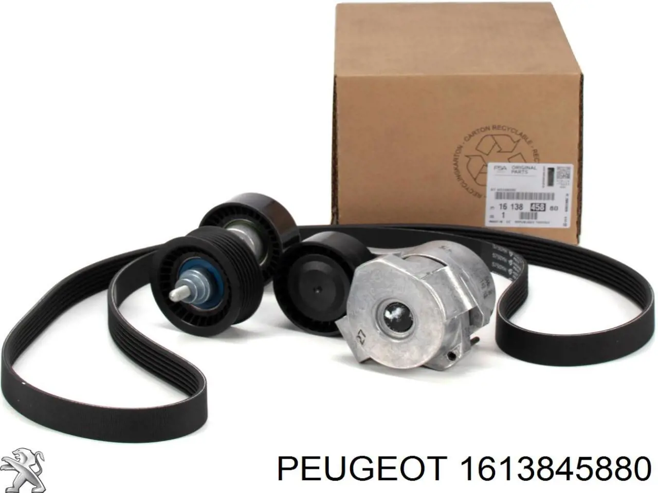 Купити 1613845880 Peugeot/Citroen Ремінь приводний, агрегатів, комплект