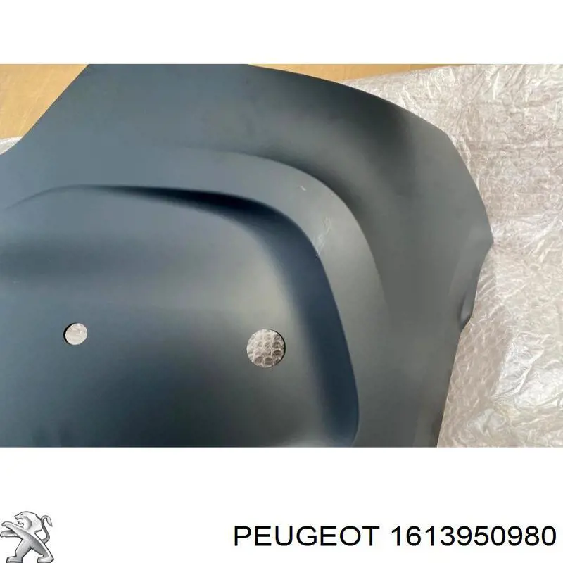 Купити 9834262380 Peugeot/Citroen Задній бампер