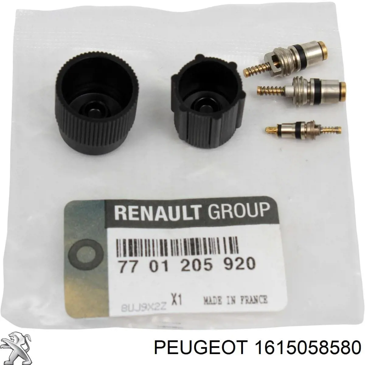 1615058580 Peugeot/Citroen 