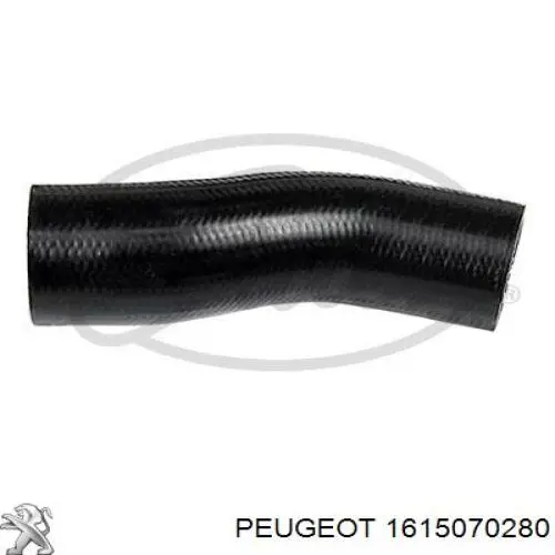 Купити 1615070280 Peugeot/Citroen Амортизатор двері багажника