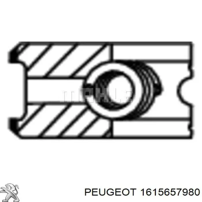 1615657980 Peugeot/Citroen кільця поршневі компресора, на 1 циліндр, std