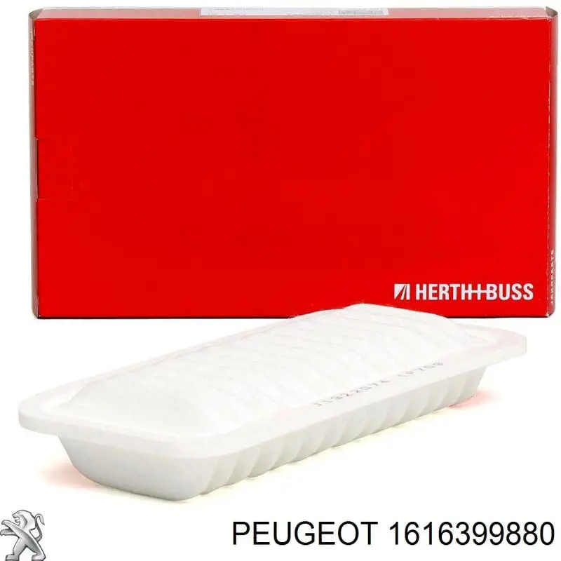 1616399880 Peugeot/Citroen Фільтр масла