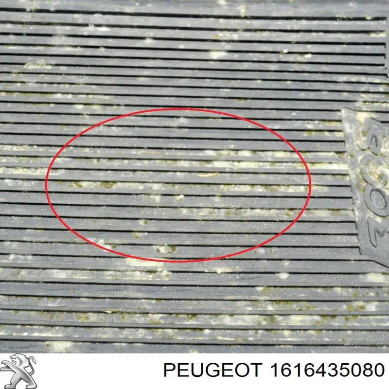 1616435080 Peugeot/Citroen 
