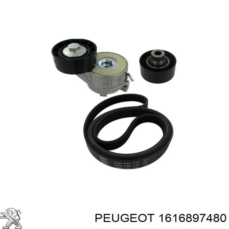 1616897480 Peugeot/Citroen ролик приводного ременя, паразитний