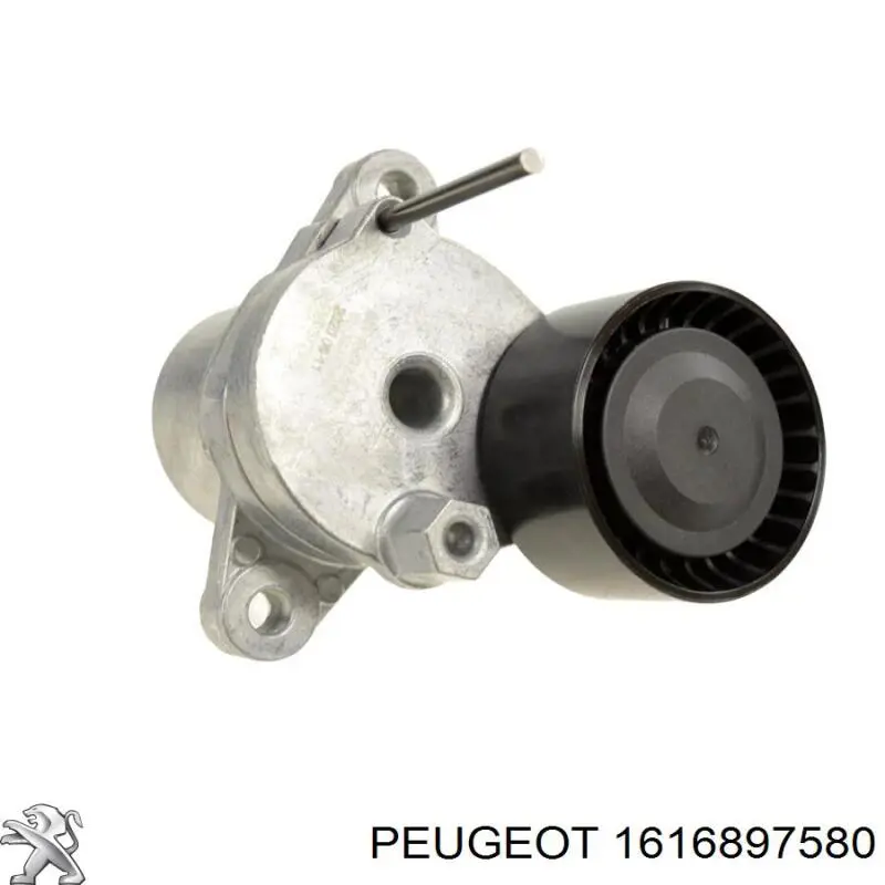 Купити 1616897580 Peugeot/Citroen 