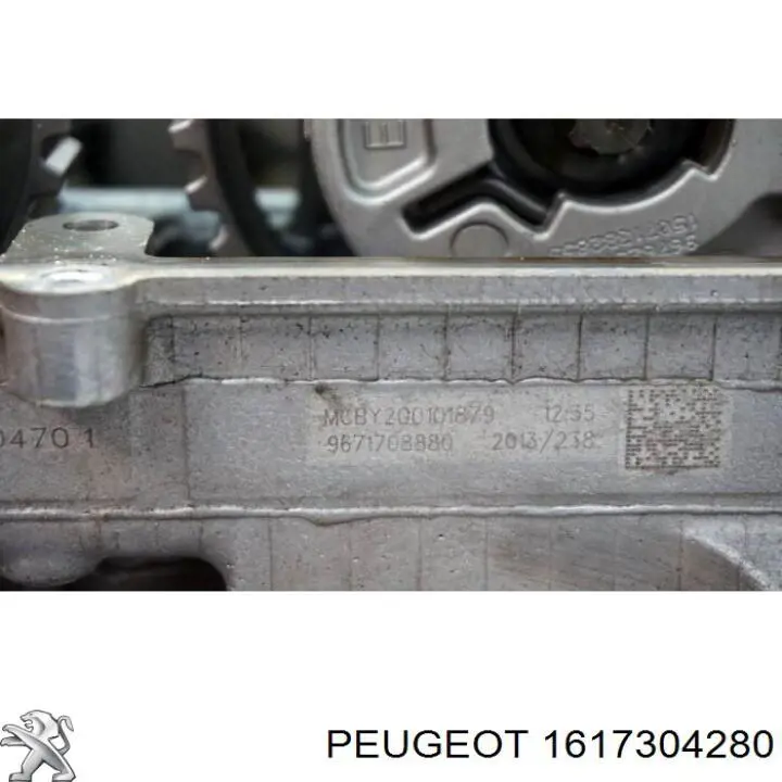1617304280 Peugeot/Citroen 