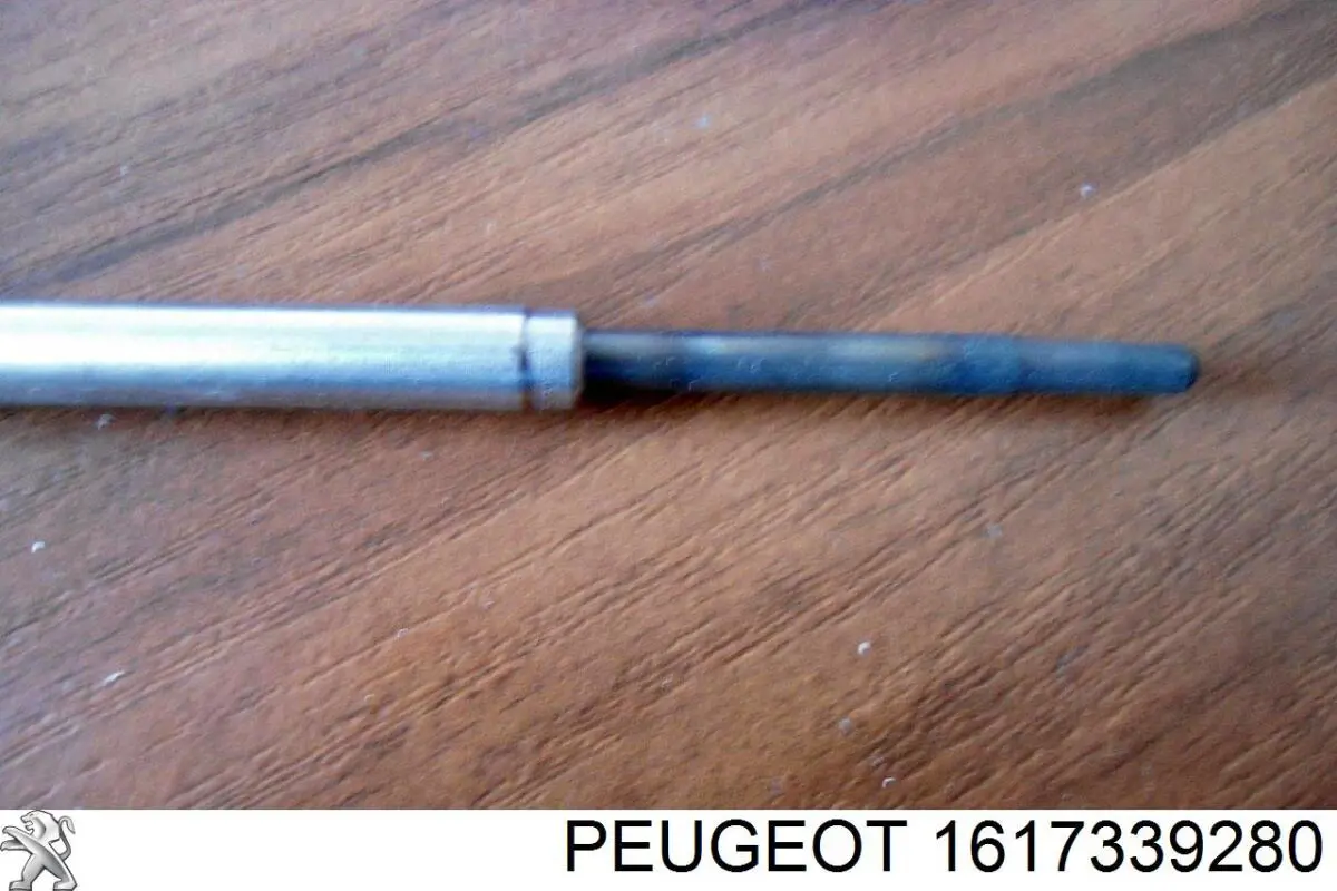 Купити 1617339280 Peugeot/Citroen 