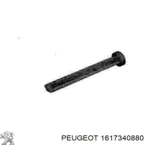 1617340880 Peugeot/Citroen Замок задньої лівої двостулковщї двері, верхній