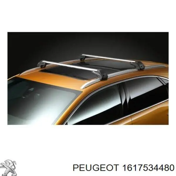 1617534480 Peugeot/Citroen Рейлінг даху, комплект