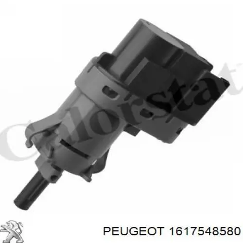 Купити 1617548580 Peugeot/Citroen 