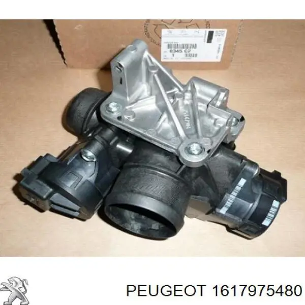  1617975480 Peugeot/Citroen