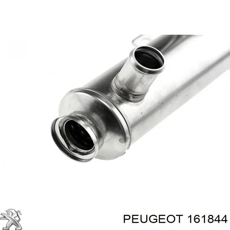 Купити 161844 Peugeot/Citroen Радіатор системи EGR рециркуляції вихлопних газів