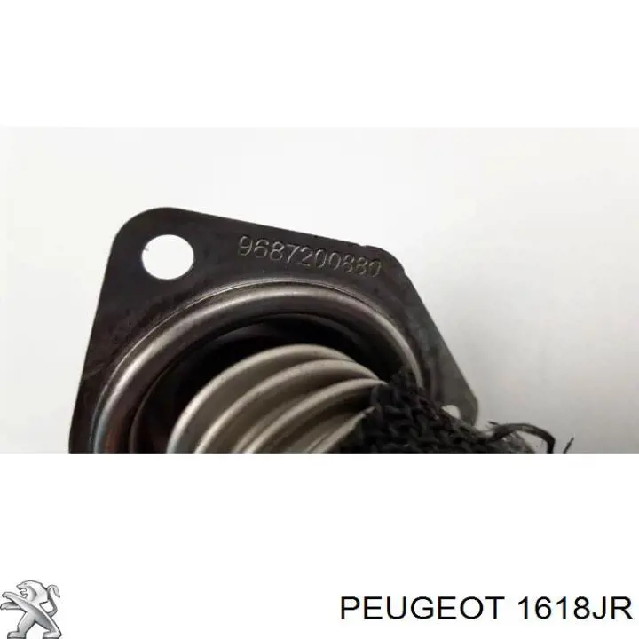 1618JR Peugeot/Citroen 