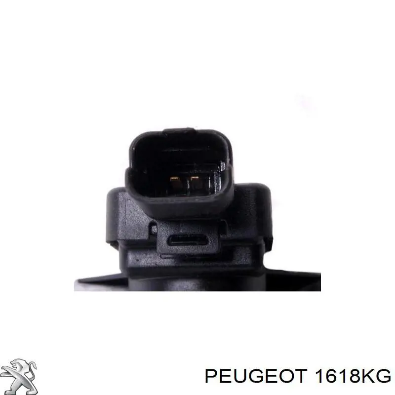 Купити 1618KG Peugeot/Citroen Клапан соленоїд регулювання заслонки EGR