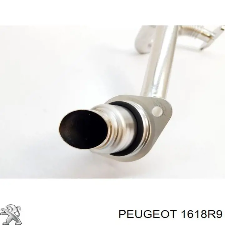 Патрубок системи рециркуляції ВГ Peugeot/Citroen 1618R9 ціна, від 12.67 USD