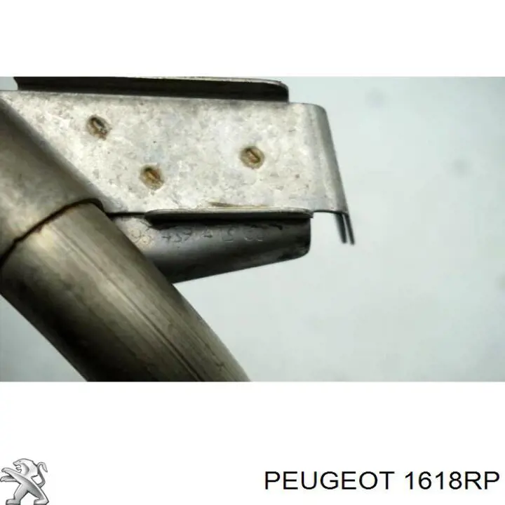 Купити 1618RP Peugeot/Citroen Патрубок системи рециркуляції ОГ EGR