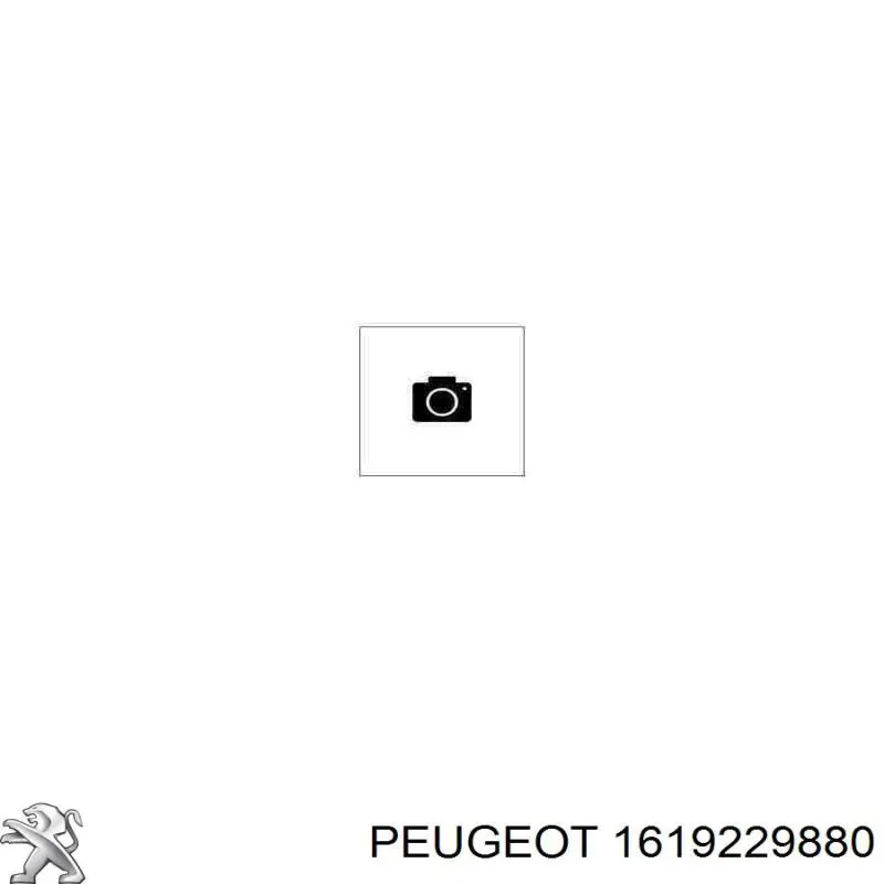 Колодки гальмові задні, барабанні Peugeot/Citroen 1619229880 ціна, від 58.91 USD