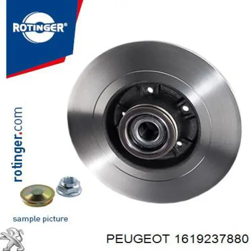 Купити 1619237880 Peugeot/Citroen Диск заднього гальма