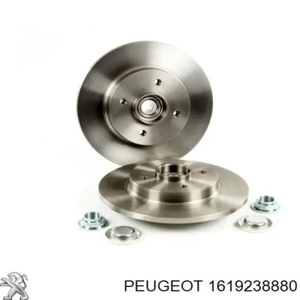 Купити 1619238880 Peugeot/Citroen Диск заднього гальма
