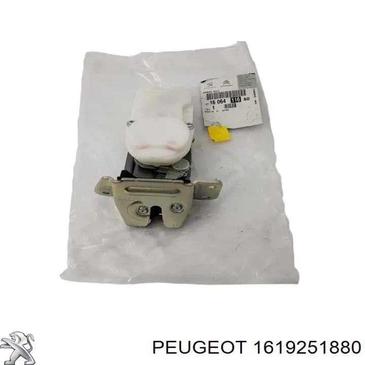 1619251880 Peugeot/Citroen 