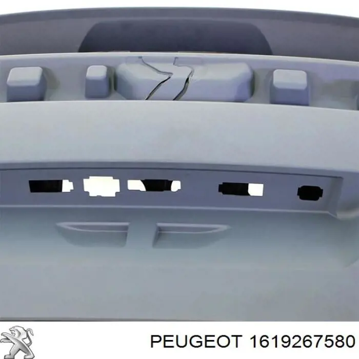 1619267580 Peugeot/Citroen Треті двері