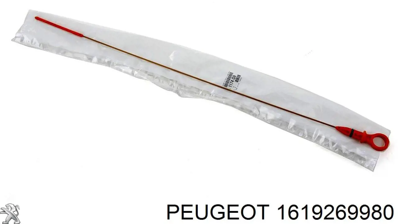Купити 1619269980 Peugeot/Citroen Фільтр очищення масла відцентровий