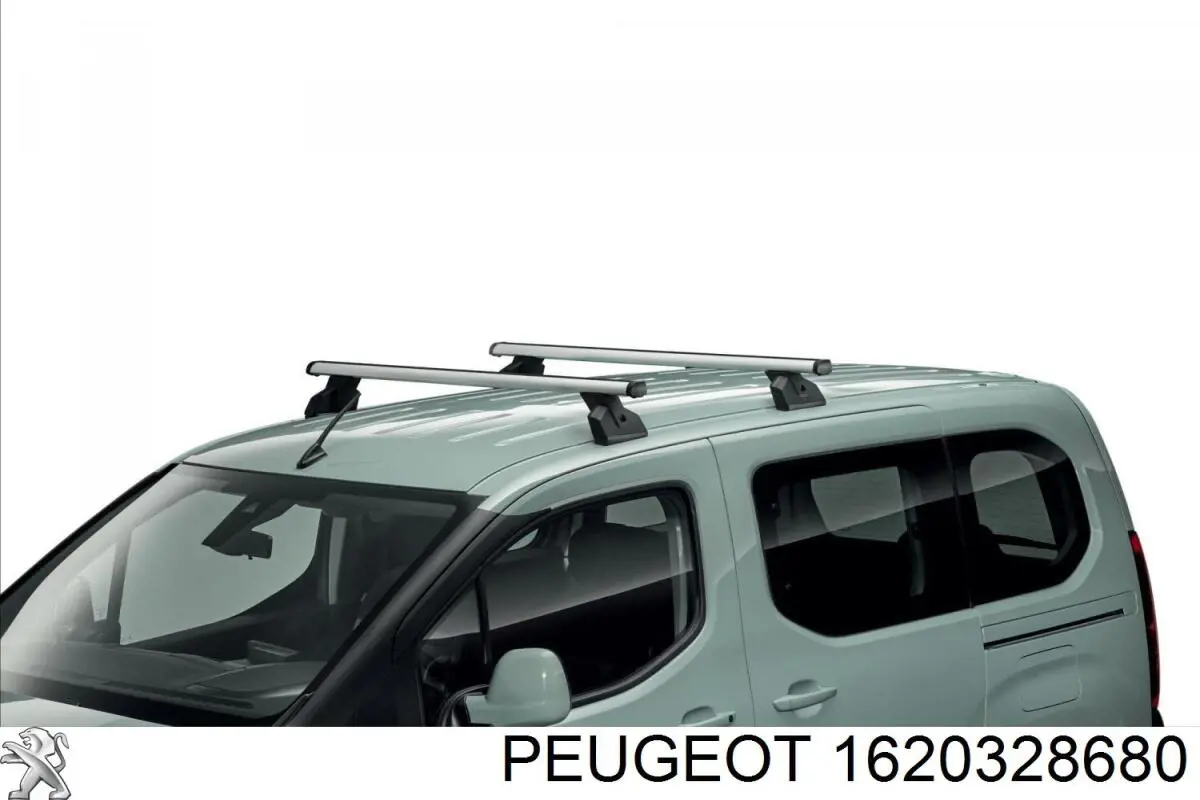  1620328680 Peugeot/Citroen