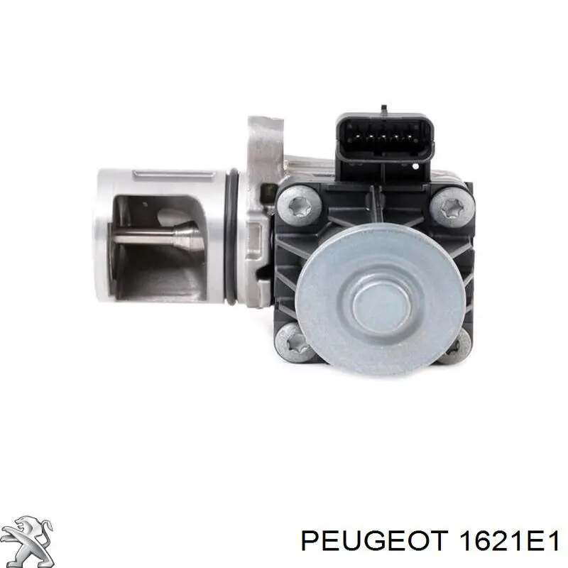 Купити 1621E1 Peugeot/Citroen 
