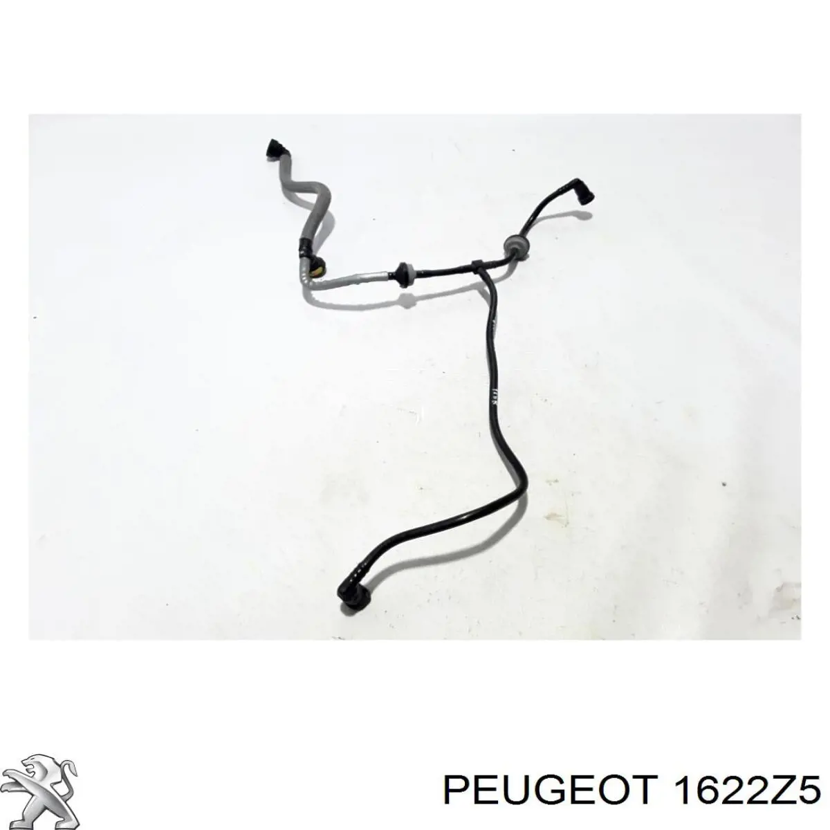  Peugeot/Citroen 1622Z5