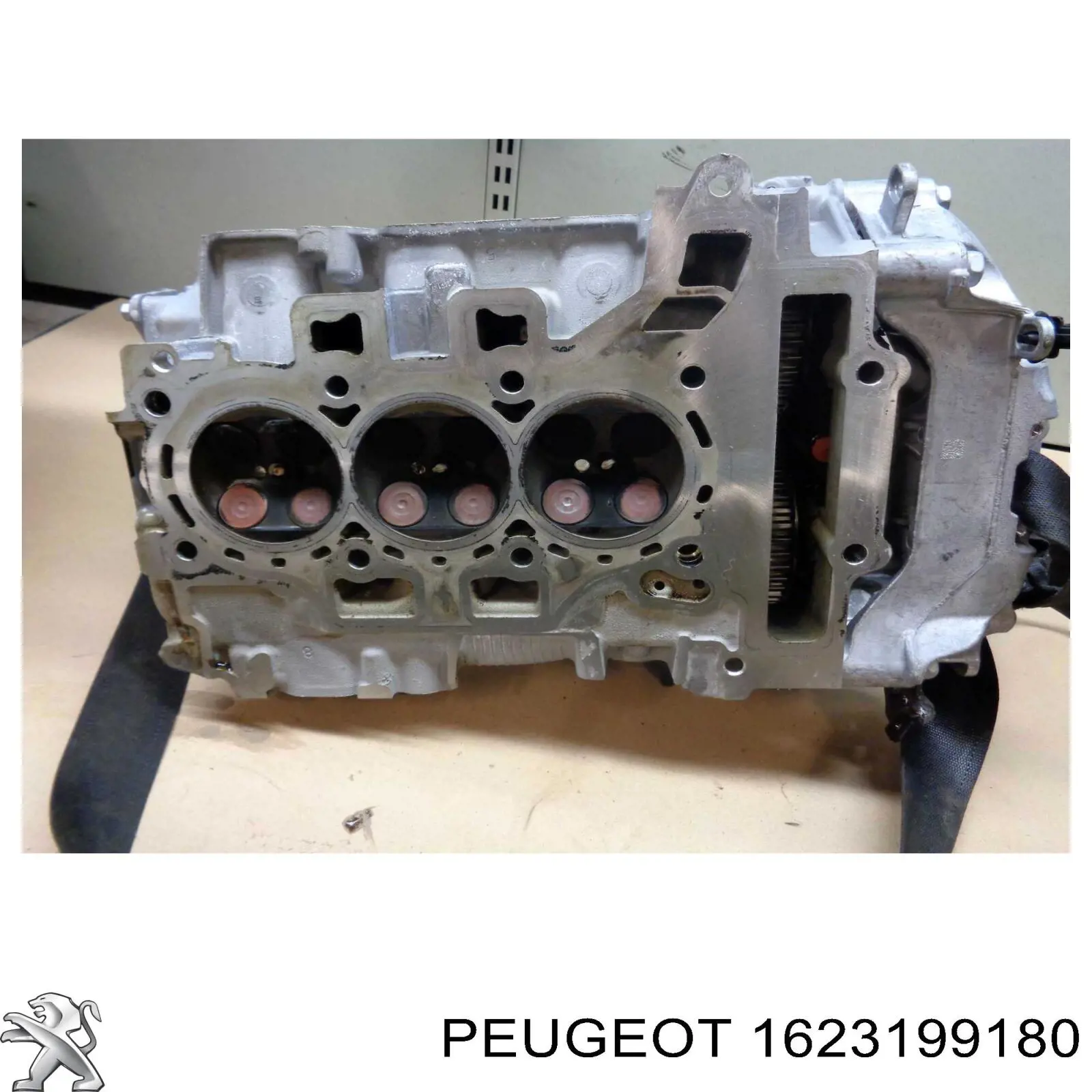 1623199180 Peugeot/Citroen Головка циліндрів