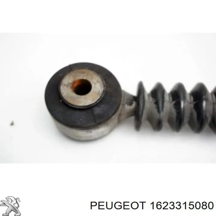 Купити 1623315080 Peugeot/Citroen Стійка амортизатора задня
